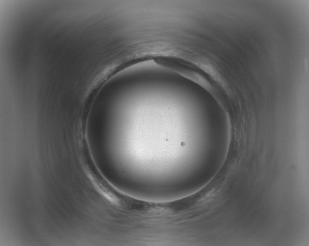 X0000062880397200601131314