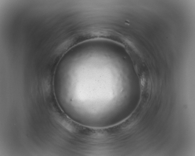 X0000062880402200601131314