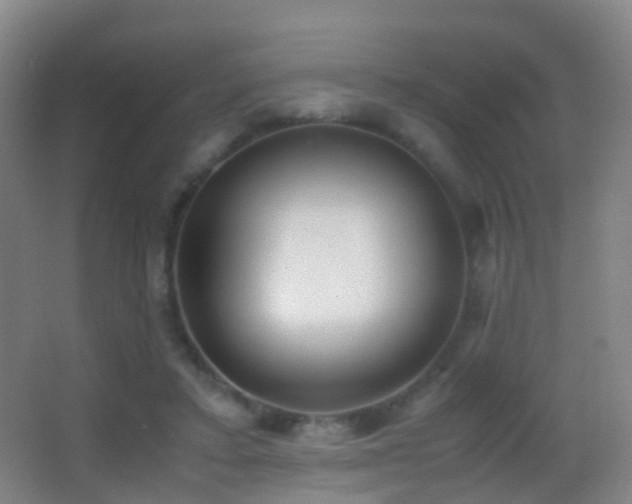 X0000062880403200601131314