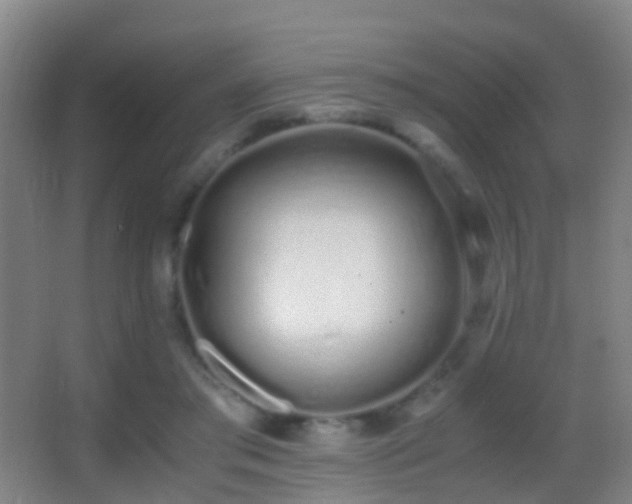 X0000062880405200601131314