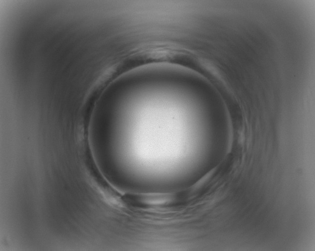 X0000062880407200601131314