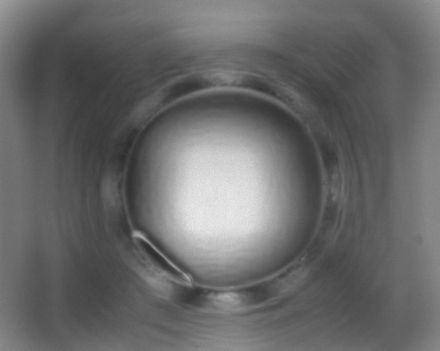 X0000062880409200601131314