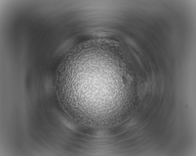 X0000062880410200601131314