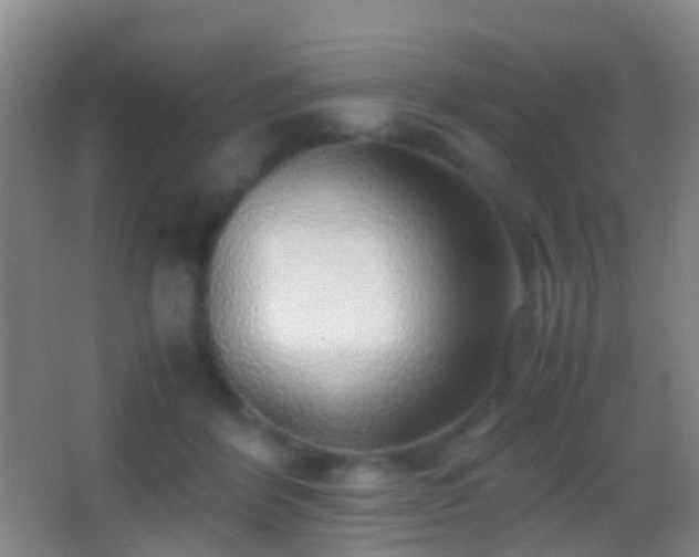 X0000062880412200601131314
