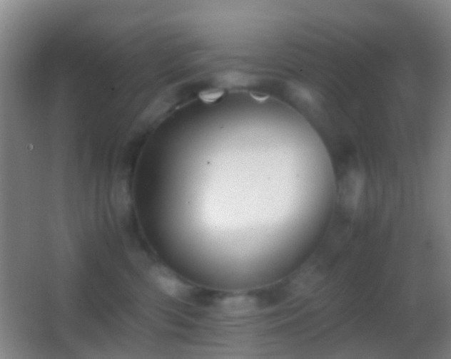 X0000062880426200601131313