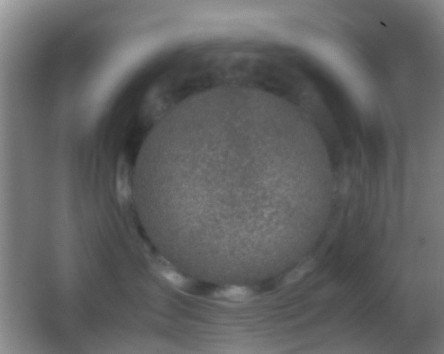 X0000062880431200601131313