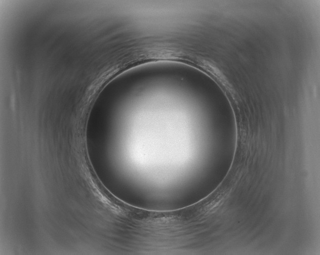 X0000062880433200601131312