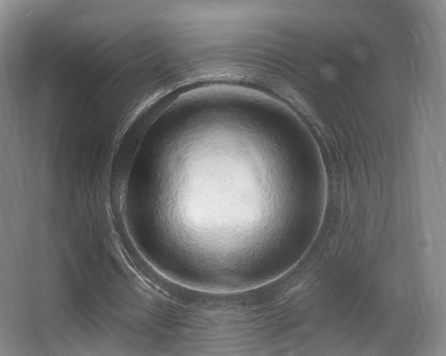 X0000062880434200601131312