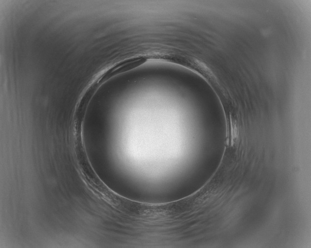 X0000062880435200601131312