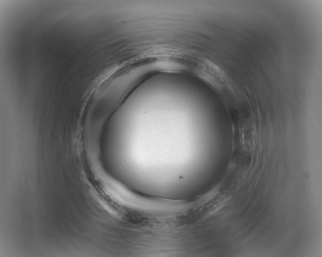 X0000062880436200601131312