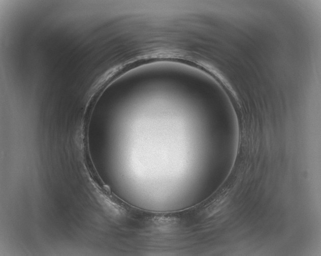 X0000062880437200601131312