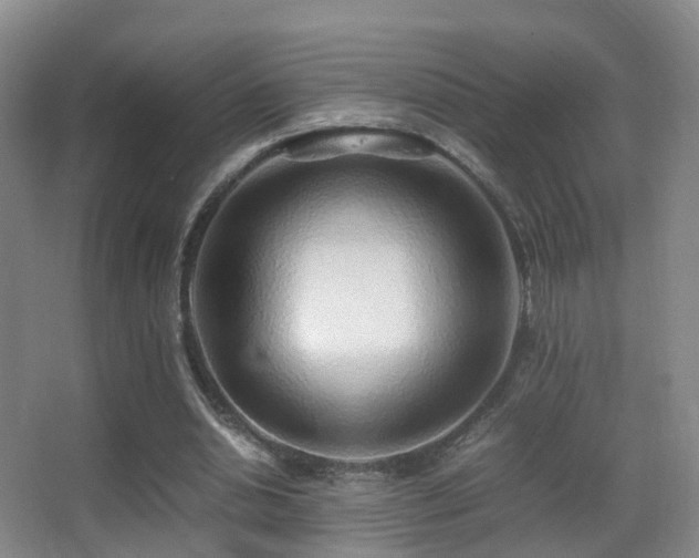 X0000062880438200601131312