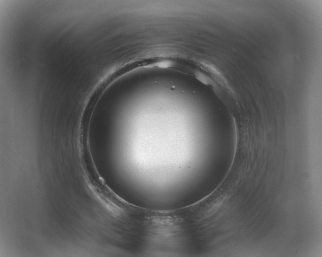 X0000062880439200601131313