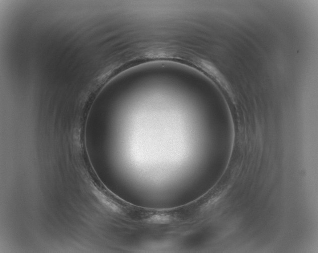 X0000062880441200601131313