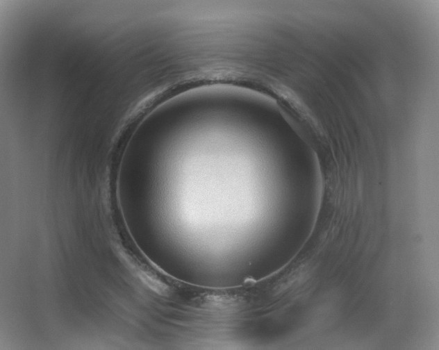X0000062880442200601131313