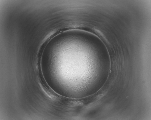 X0000062880443200601131313