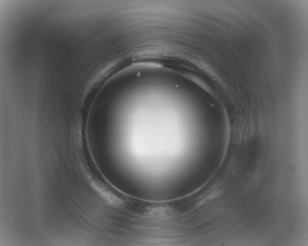 X0000062880446200601131313
