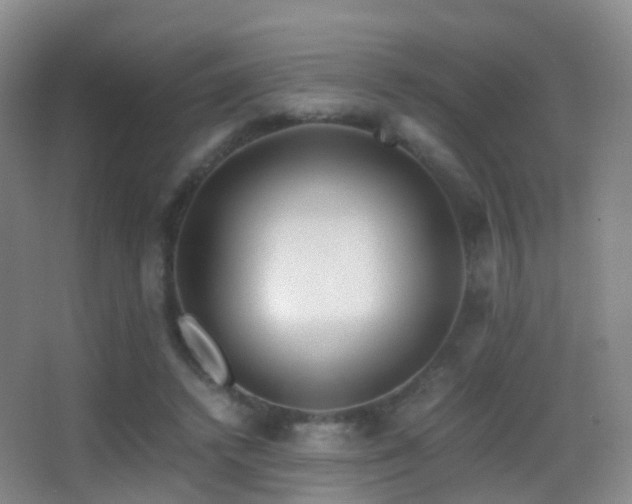 X0000062880448200601131313