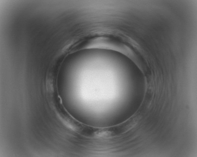 X0000062880452200601131313