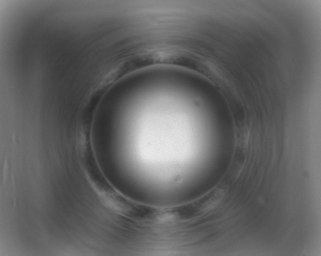 X0000062880456200601131313