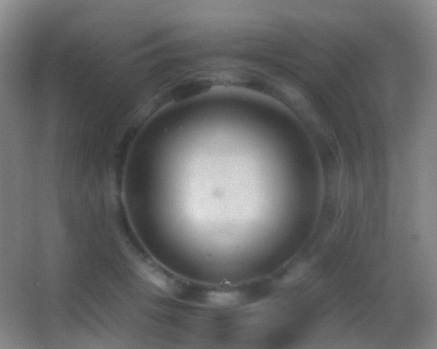 X0000062880457200601131313