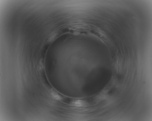 X0000062880467200601131313