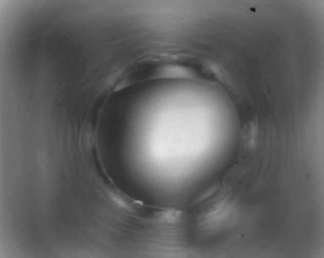 X0000062880474200601131313