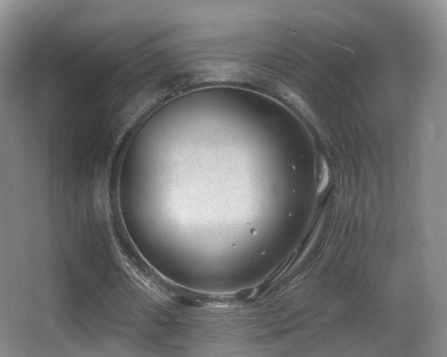X0000062880482200601131312