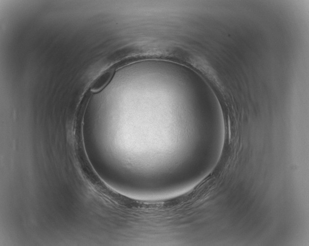 X0000062880483200601131312