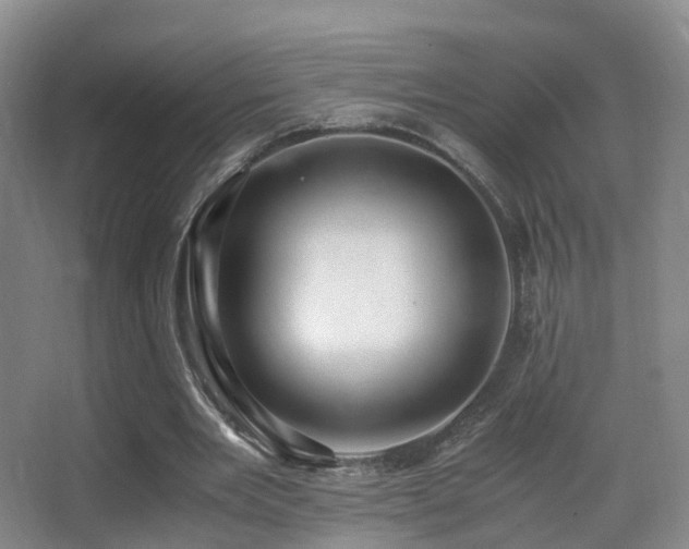 X0000062880485200601131312