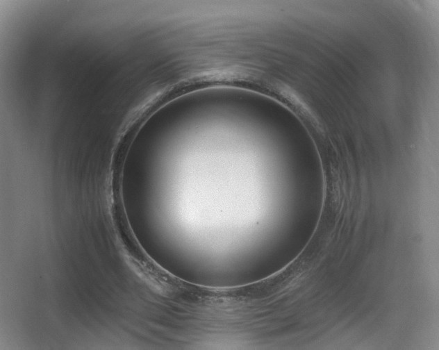 X0000062880486200601131312