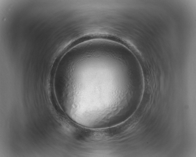X0000062880487200601131312