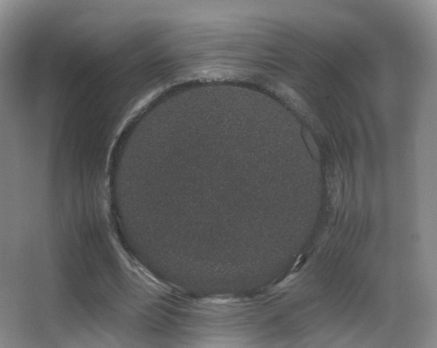 X0000062880488200601131312