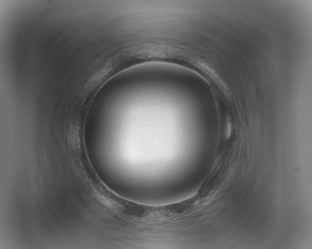 X0000062880489200601131312
