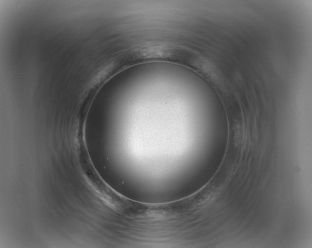 X0000062880490200601131312