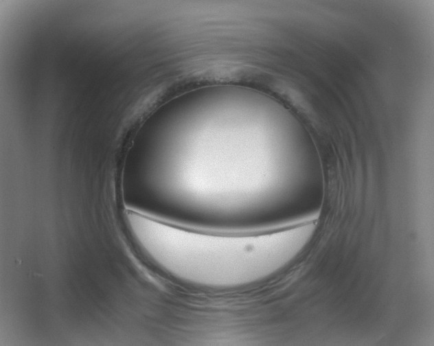 X0000062880493200601131312