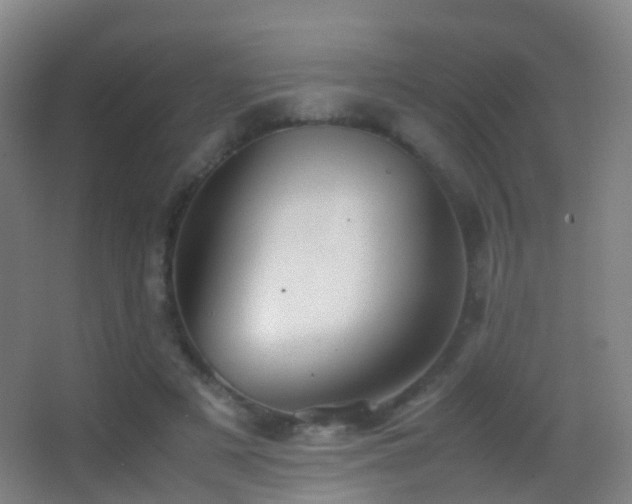X0000062880497200601131312