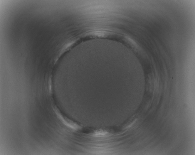 X0000062880500200601131312