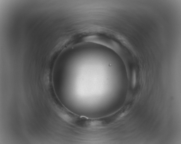 X0000062880501200601131312