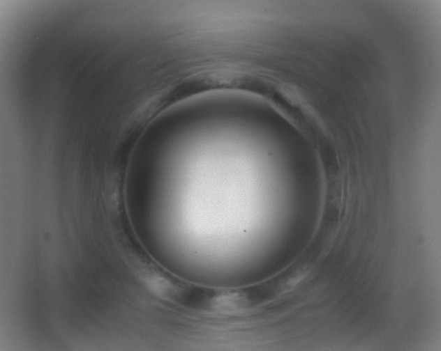 X0000062880505200601131312