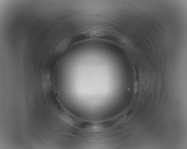 X0000062880506200601131312