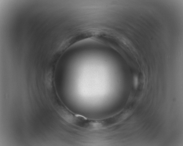 X0000062880509200601131312