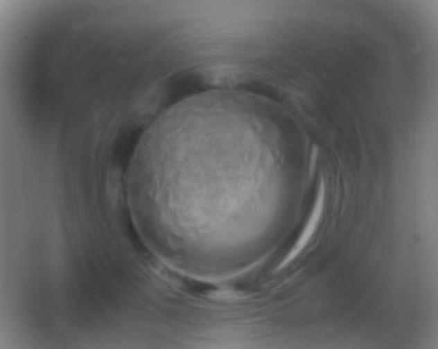 X0000062880511200601131312