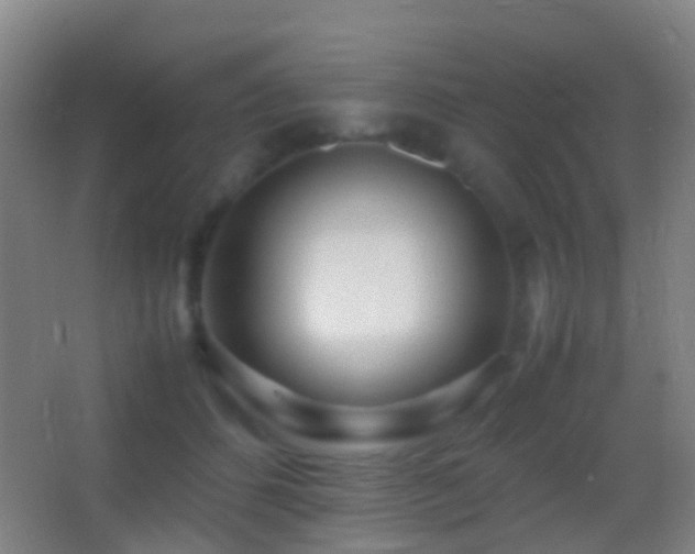 X0000062880512200601131312