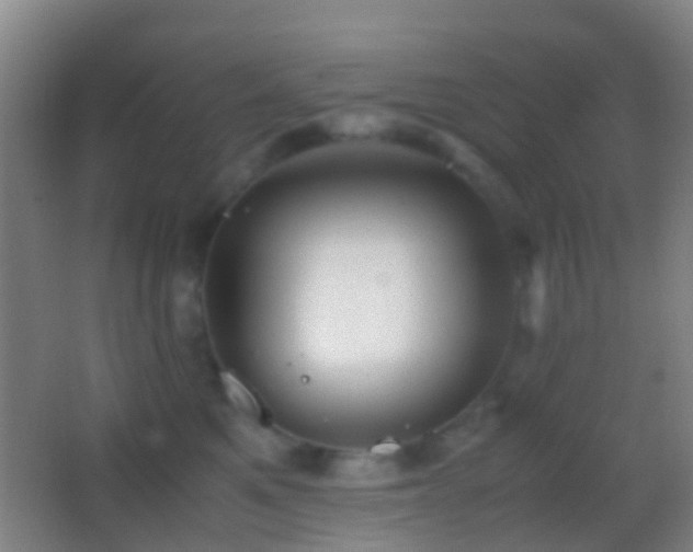 X0000062880521200601131312