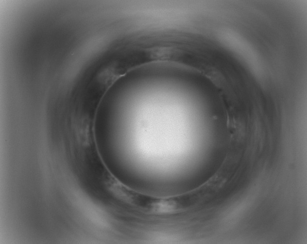 X0000062880525200601131312