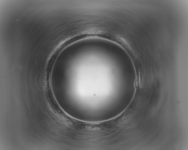 X0000062880531200601131311