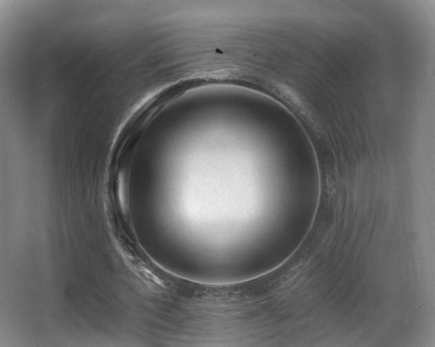 X0000062880532200601131311