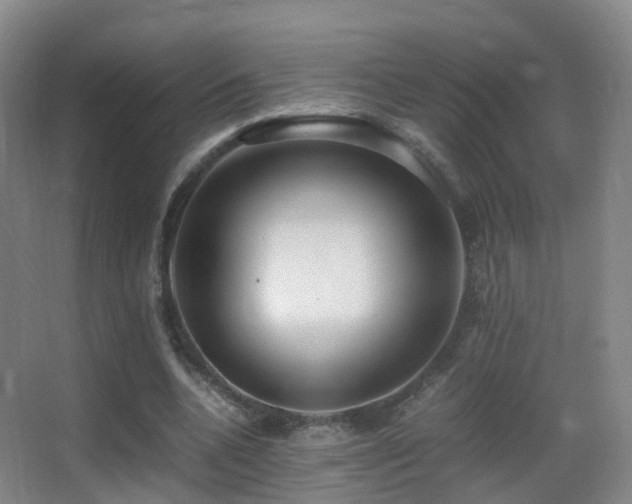 X0000062880536200601131311