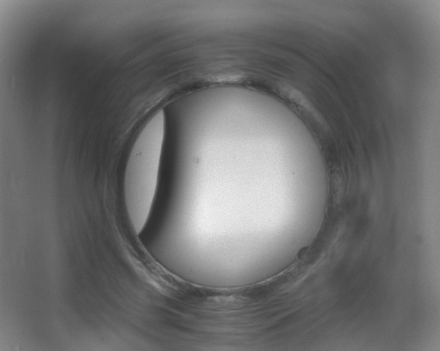 X0000062880541200601131311